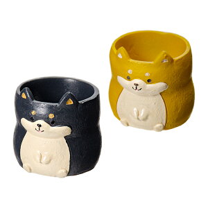 @gW|bg@Ό@1|bgp@F܂@Jo[@֓