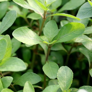 ijnCOtBspD_[NuE@^CYitji_ji6{j