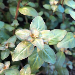 ijhEBWA@ZlKVXitji_ji6{j