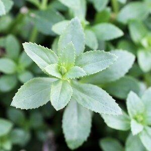 ijmtBspDXJ@^CvAitji_ji6{j