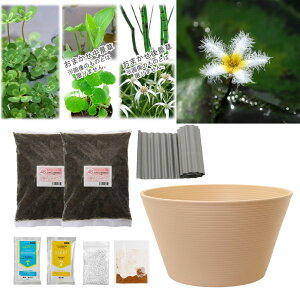 irIg[vjA@rIg[vCAEgZbg@KKu^{A3@Ȃݕt@{Bl@ll1_