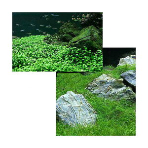 ijOi@ti_j2Zbg@Ob\XeBO}i1pbNj{wA[OX@V[gi2j@kCEBq֗vۉ