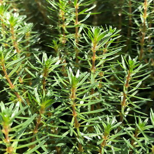 ij^spDJ{WAYitji_ji10{j