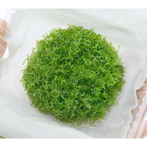 ij[WVAitji_ji5pbNj@kCEBq֗vۉ