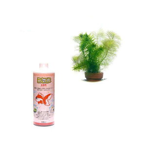 ij܂_JE@2@~jAitji1|bgj@{C@p@500ml@{Bl