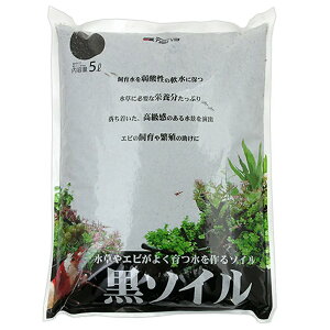 J~n^@\C@5L@h{n\C@ANAE@Mы@@֓