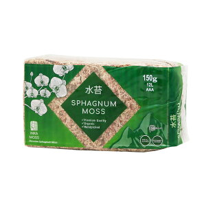 ہ@y[Y@12L@AAA@k^Cv@֓