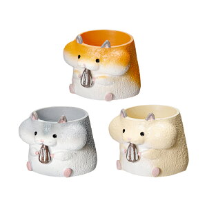 AEgbgi@@gW|bg@nX^[@1|bgp@F܂@Jo[@󂠂@֓