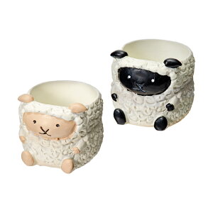 @gW|bg@qcW@1|bgp@F܂@Jo[@֓