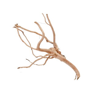 J~n^@^CYVR؁@u`Ebh@S@27×21×19cm@eE@p_E@ANAE@@֓