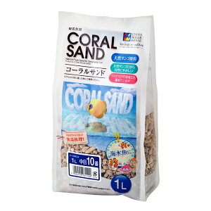 VZ[@R[Th@ځi10ԁj@1L@֓