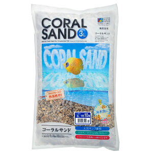 �V���Z�[�@�R�[�����T���h�@���ځi10�ԁj�@3L�@����l�l4�_����@�֓�������