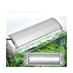 AN@OVAL@LED@300@1850lm@BRIGHT@@Ɩ@Mы@ANAE@Cg@֓