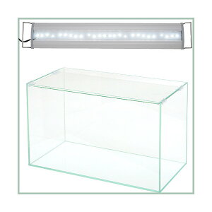 AN60S@X[p[NA@OVAL@LED@600@3250lm@BRIGHT@Zbg@ll1_@֓