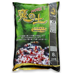 JUN@̓y@M@8L@ANAE@Mы@@Vv@ll4_@֓