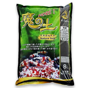 JUN@̓y@S@8L@ANAE@Mы@@Vv@ll4_@֓