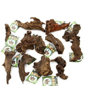 `󂨔C@R؁@i15cm`j@1{@ANAE@@֓