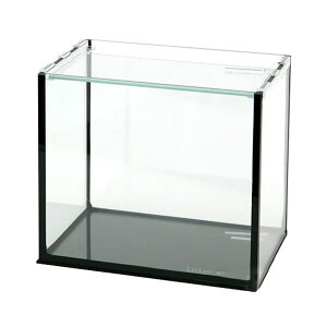 �R�g�u�L�H�|�@�K���X�����@���O���X�t���b�g�@F�|25S�^B�@�u���b�N�V���R���@25cm�����@�i�P�́j�@���^�����@����l�l2�_����@�֓�������