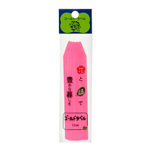 S[hx@12cm@10@@|x@~́@R쑐@֓