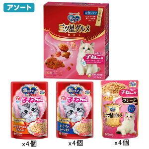 キャットフード 銀のスプーン 子猫セット 健康に育つ子ねこ用 お魚レシピ 240g+ウェット3種12袋 関東当日便