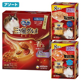 キャットフード　銀のスプーン　15歳セット　三ツ星グルメ　腎臓の健康維持に配慮　240g＋ウェット2種2箱　関東当日便