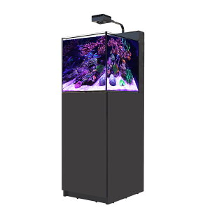 レッドシー MAX NANO G2 ペニンシュラセット 黒 50Hz 東日本用 45cm水槽 関東当日便