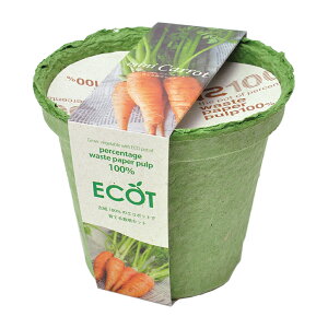 V|@ECOT@ɂ񂶂͔|Zbg@M@͔|Zbg@ƒ؉@Mtg@֓