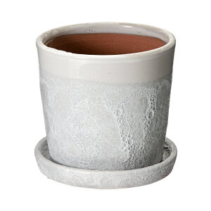 Jo[@n[@6@zCg@ꌊ@󂯎Mt@ϗtA@Aؔ@@֓