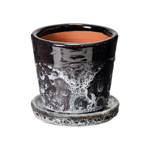 Jo[@n[@4@ubN@ꌊ@󂯎Mt@ϗtA@Aؔ@@֓