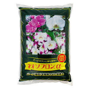 |{y@lI\t@M@12L@Ap|{y@m@֓