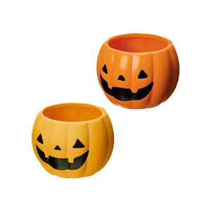 AEgbgi@@nEB@pvL|bg@S@2p@F܂@Jo[@󂠂@֓