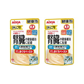アイシア　シニア猫用　健康缶パウチ　下部尿路ケア　40g×2　関東当日便
