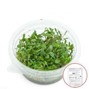 ijSҌt@Ob\XeBO}itjvJbvi_ji1j@kCEBq֗vۉ