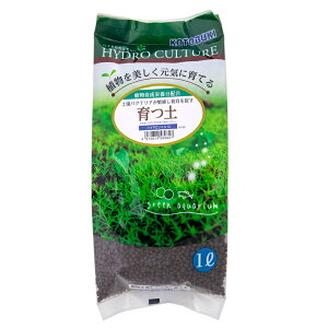 RguLH|@y@nCh\C@1L@@eE@\C@֓