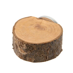 }J@CASA@XebvɂȂ񂲂̂؁@֐؂@֓