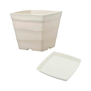 @AbvEFA[@NtgXNGA@25^@zCg@v[gt@ll6_@֓