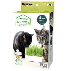 キャティーマン　おうちで育てる　猫の生野菜　4回分　猫草　ドギーマン　関東当日便