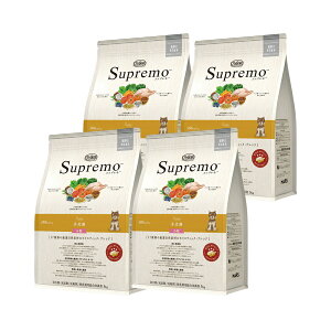 j[g@Vv@qp@@3kg×4܁@ll1_@֓