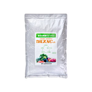 JXNC|R@1kg@yǎށ@ށ@ll1_@֓