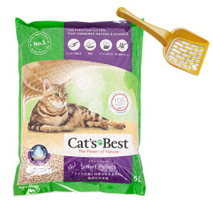 L@pXRbv܂t@be}C[@LbcxXg@ł܂؂̃lR@X}[gybg@5L@NEW@ll6_@֓