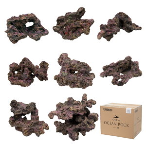 ORCA@OCEAN@ROCK@ALFA@CubNvJ@`90cm@֓