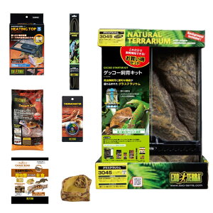 GEX エキゾテラ グラステラリウム ゲッコー飼育セット GT3045 お一人様2点限り 関東当日便