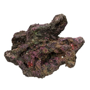 ORCA@OCEAN@ROCK@2@25×22×15cm@CubNvJ@֓