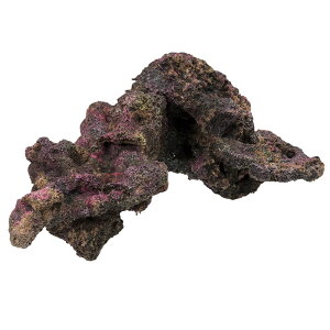 ORCA@OCEAN@ROCK@4@26×22×9cm@CubNvJ@֓