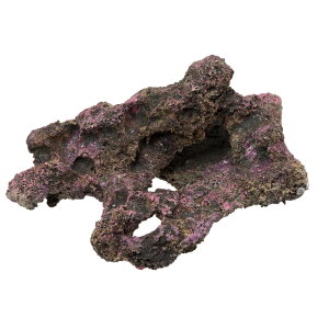 ORCA@OCEAN@ROCK@13@22×12×17cm@CubNvJ@֓