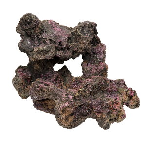 ORCA@OCEAN@ROCK@15@23×23×17cm@CubNvJ@֓