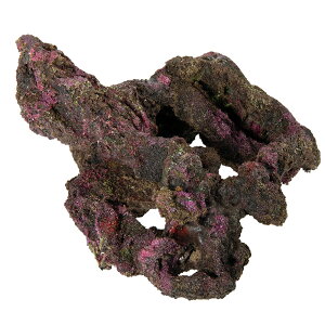 ORCA@OCEAN@ROCK@28@28×16×22cm@CubNvJ@֓