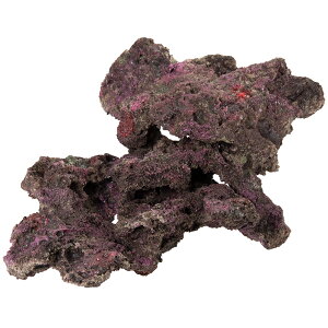 ORCA@OCEAN@ROCK@24@35×27×16cm@CubNvJ@֓