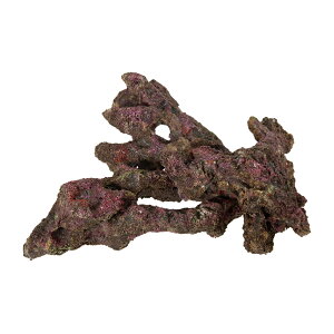 ORCA@OCEAN@ROCK@16@19×12×30cm@CubNvJ@֓