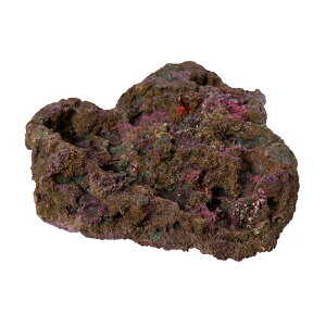 ORCA@OCEAN@ROCK@32@24×22×8cm@CubNvJ@֓